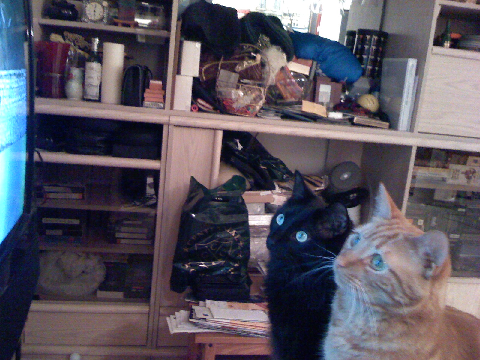 93999BA9-3F6B-4069-A0C9-09C02276BD21