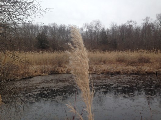 A12FB90E-61D7-4F89-9791-01521F352806