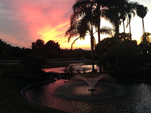 B371D710-826A-4E82-A9D3-369A53649234