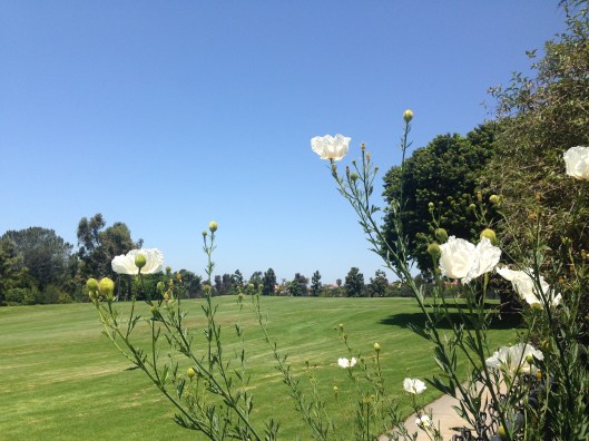 E39854ED-38D9-47A3-8820-EB3ED6E2D8E8