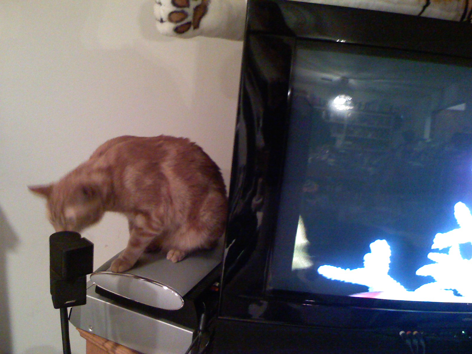 ECA59E20-31F0-4D33-8E4C-0A6E5168FC6A