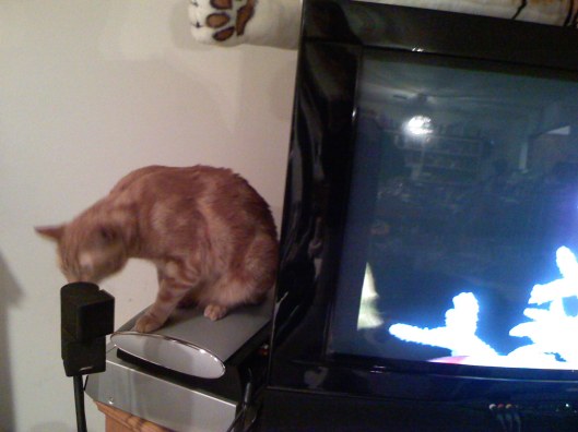 ECA59E20-31F0-4D33-8E4C-0A6E5168FC6A