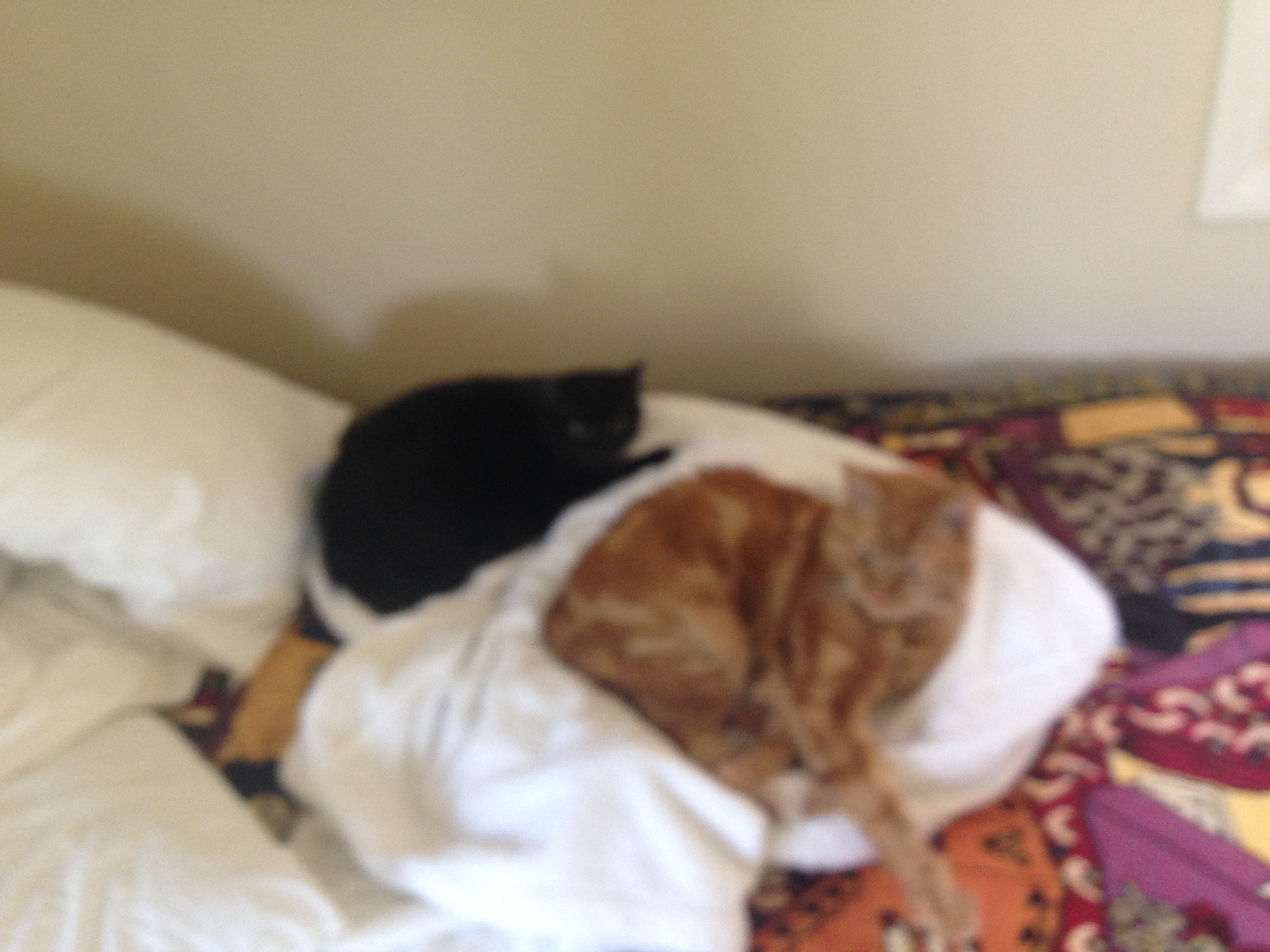 031E968F-DAC1-4ED0-B6F2-723C8B5A4E30