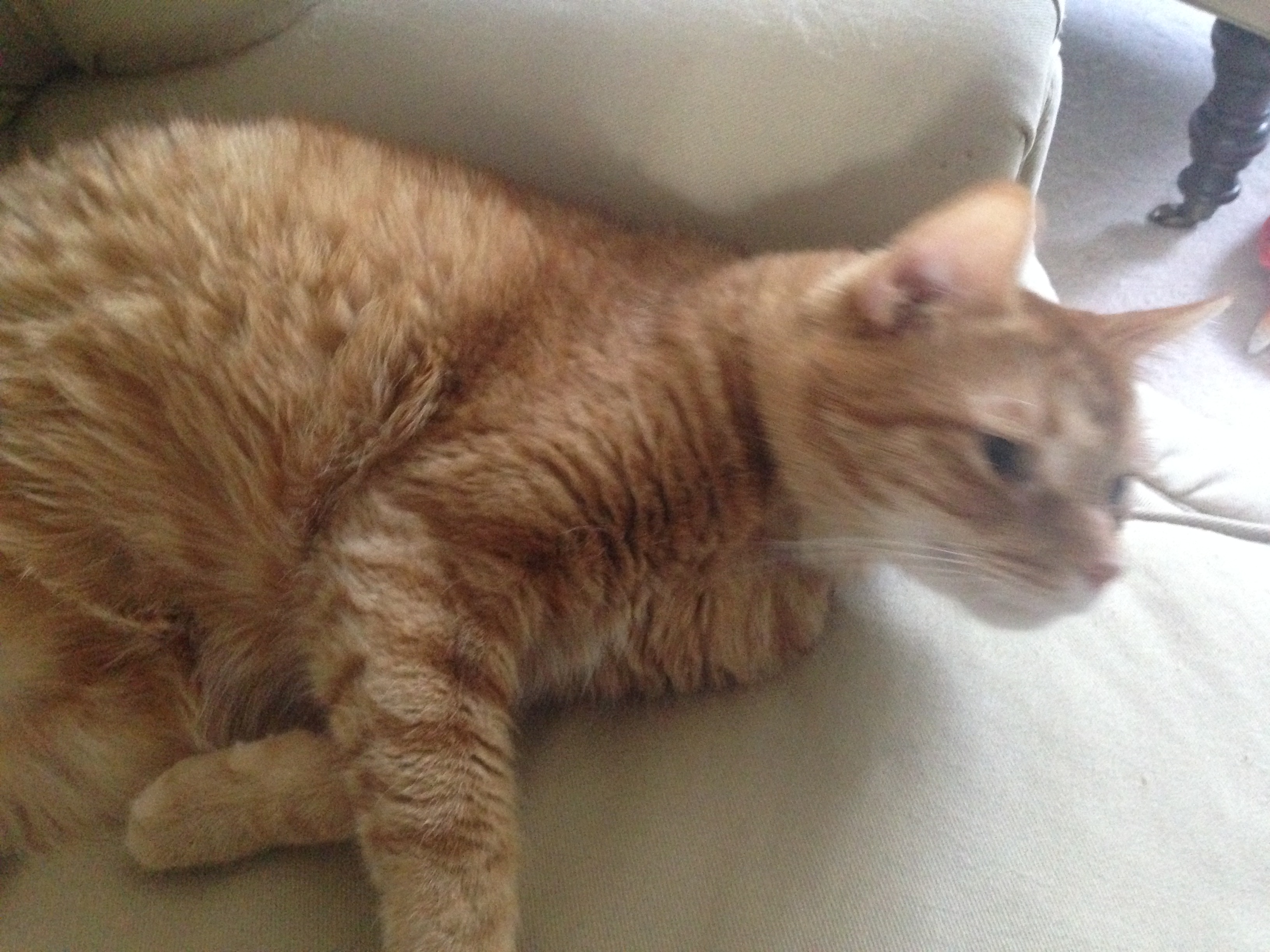 30257249-13AF-452C-9C6A-0DA2BFB9AF01