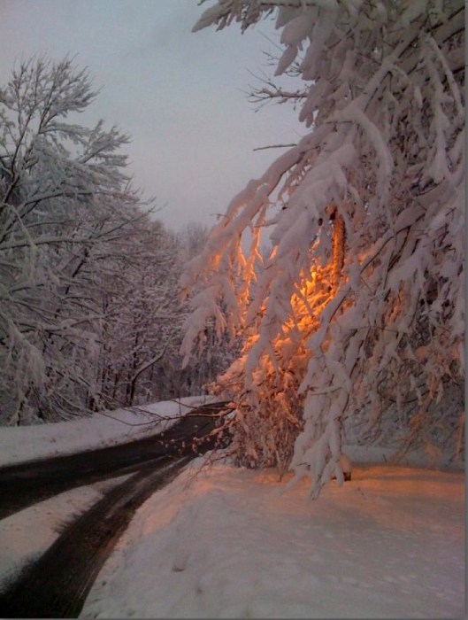 4770779D-0898-482C-B861-83F8498070A4_1_105_c