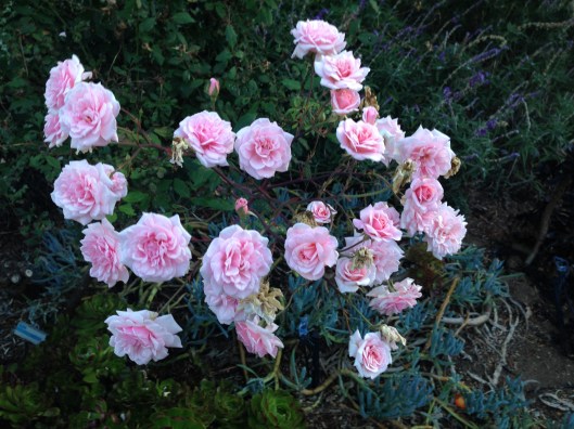 AE2E5F4D-85D9-4D26-9D58-B64CB9D90A64