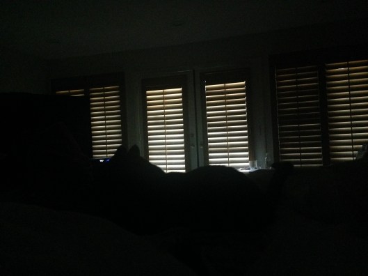 289A4672-47BB-46AA-8688-0DFE99F0A436